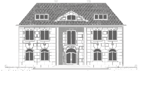 Clinique du Prince I Greffes Capillaires